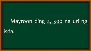 Epekto ng klima