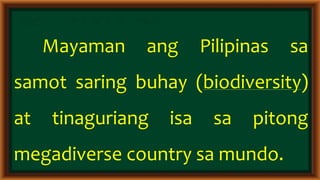 Epekto ng klima