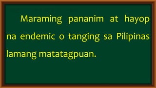 Epekto ng klima