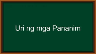 Epekto ng klima