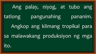 Epekto ng klima