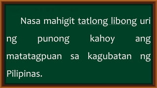 Epekto ng klima