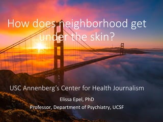 How does neighborhood get
under the skin?
USC Annenberg’s Center for Health Journalism
Elissa	Epel,	PhD	
Professor,	Department	of	Psychiatry,	UCSF	
 