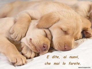 E  dite,  ai  nuovi, che  mai  lo  farete. 