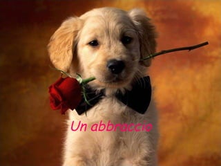 Un abbraccio 