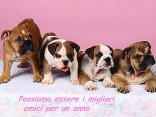 Possiamo essere i migliori amici per un anno . . . 