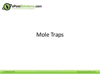Call 1-888-523-7378Call 1-888-523-7378
Mole Traps
http://www.epestsolutions.com/© 2012 ePestSolutions. All rights reserved.
 