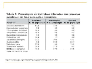 http://www.naea-ufpa.org/revistaNCN/ojs/images/articleimages/hilton01.JPG 