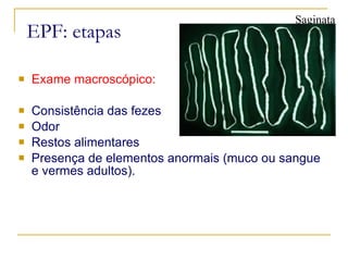 EPF: etapas Exame macroscópico: Consistência das fezes Odor Restos alimentares Presença de elementos anormais (muco ou sangue e vermes adultos). Saginata  