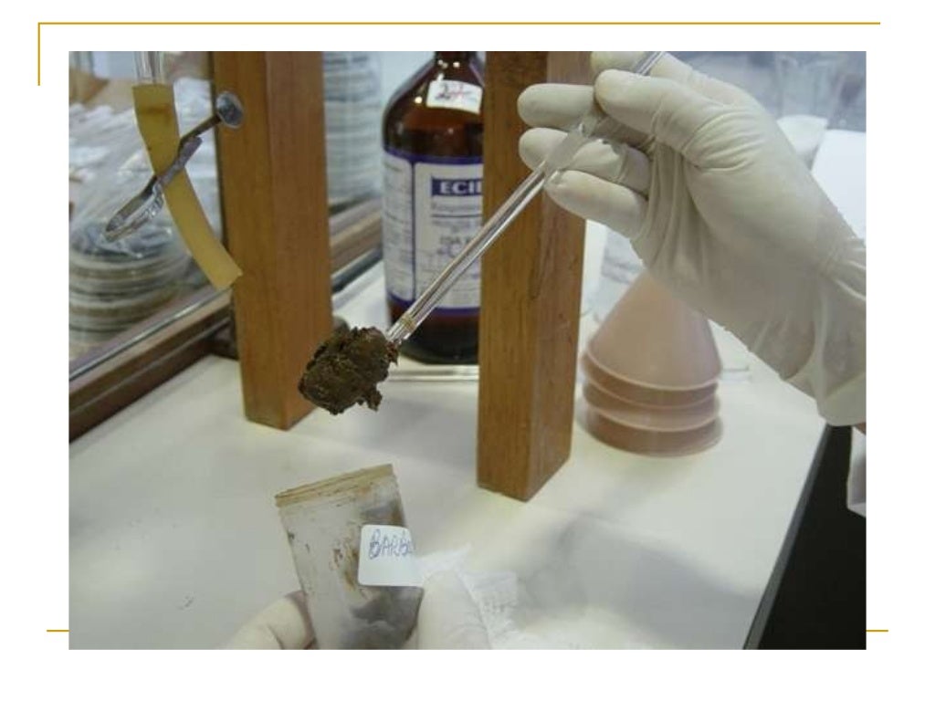 Exame Parasitológico de Fezes - 2010