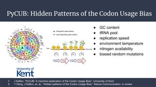 PyCUB: Hidden Patterns of the Codon Usage Bias
1. J Kalfon, “PyCUB: A machine exploration of the Codon Usage Bias”, Univer...