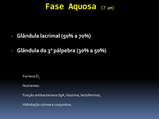 Fase Aquosa                             (7 µm)




- Glândula lacrimal (50% a 70%)

- Glândula da 30 pálpebra (30% a 50%)



  -   Fornece O2

  -   Nutrientes

  -   Função antibacteriana (IgA, lisozima, lactoferrina),

  -   Hidratação córnea e conjuntiva.
 