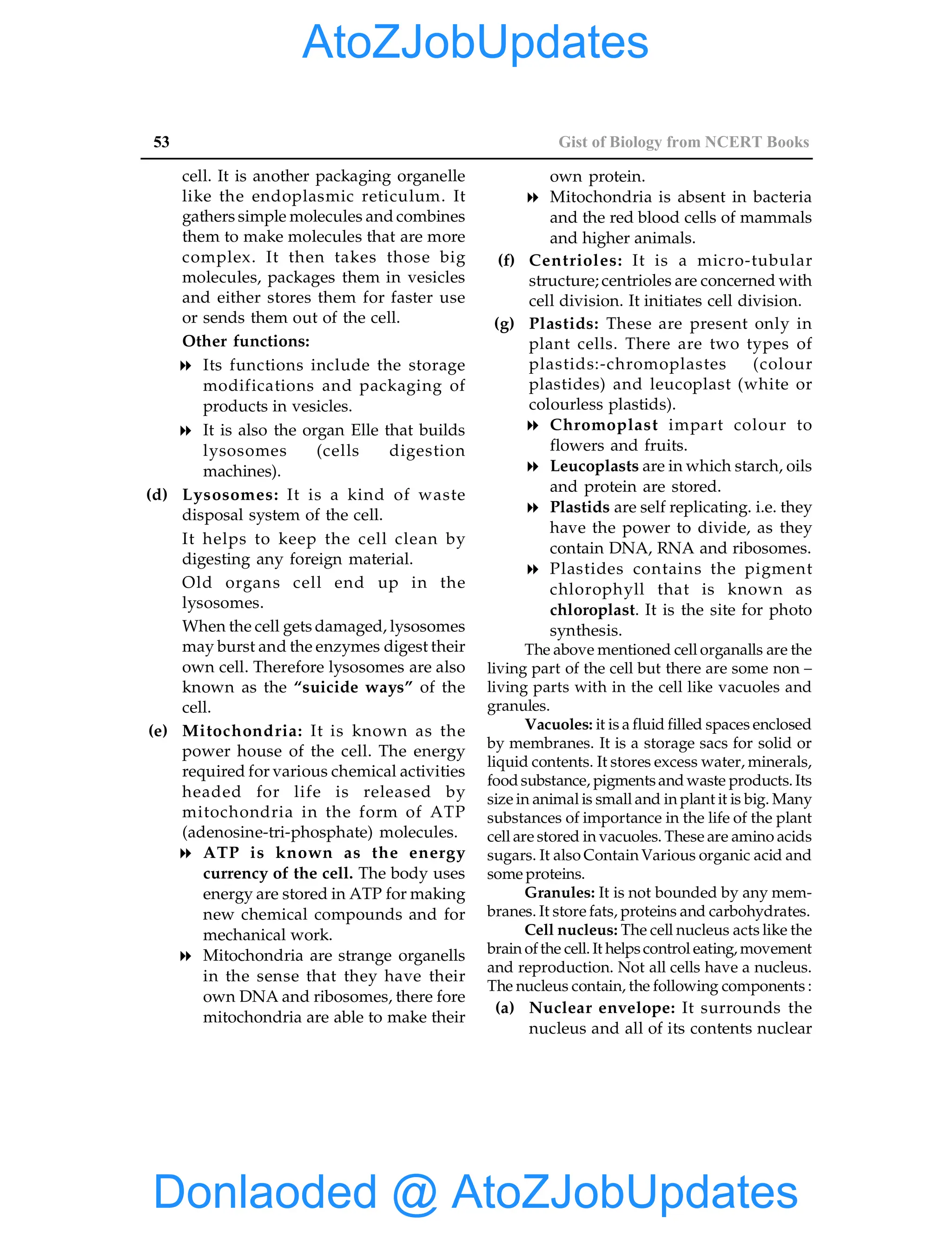 53 Gist of Biology from NCERT Books
cell. It is another packaging organelle
like the endoplasmic reticulum. It
gathers simple molecules and combines
them to make molecules that are more
complex. It then takes those big
molecules, packages them in vesicles
and either stores them for faster use
or sends them out of the cell.
Other functions:
8 Its functions include the storage
modifications and packaging of
products in vesicles.
8 It is also the organ Elle that builds
lysosomes (cells digestion
machines).
(d) Lysosomes: It is a kind of waste
disposal system of the cell.
It helps to keep the cell clean by
digesting any foreign material.
Old organs cell end up in the
lysosomes.
When the cell gets damaged, lysosomes
may burst and the enzymes digest their
own cell. Therefore lysosomes are also
known as the “suicide ways” of the
cell.
(e) Mitochondria: It is known as the
power house of the cell. The energy
required for various chemical activities
headed for life is released by
mitochondria in the form of ATP
(adenosine-tri-phosphate) molecules.
8 ATP is known as the energy
currency of the cell. The body uses
energy are stored in ATP for making
new chemical compounds and for
mechanical work.
8 Mitochondria are strange organells
in the sense that they have their
own DNA and ribosomes, there fore
mitochondria are able to make their
own protein.
8 Mitochondria is absent in bacteria
and the red blood cells of mammals
and higher animals.
(f) Centrioles: It is a micro-tubular
structure; centrioles are concerned with
cell division. It initiates cell division.
(g) Plastids: These are present only in
plant cells. There are two types of
plastids:-chromoplastes (colour
plastides) and leucoplast (white or
colourless plastids).
8 Chromoplast impart colour to
flowers and fruits.
8 Leucoplasts are in which starch, oils
and protein are stored.
8 Plastids are self replicating. i.e. they
have the power to divide, as they
contain DNA, RNA and ribosomes.
8 Plastides contains the pigment
chlorophyll that is known as
chloroplast. It is the site for photo
synthesis.
The above mentioned cell organalls are the
living part of the cell but there are some non –
living parts with in the cell like vacuoles and
granules.
Vacuoles: it is a fluid filled spaces enclosed
by membranes. It is a storage sacs for solid or
liquid contents. It stores excess water, minerals,
food substance, pigmentsand waste products. Its
size in animal is small and in plant it is big. Many
substances of importance in the life of the plant
cell are stored in vacuoles. These are amino acids
sugars. It also Contain Various organic acid and
some proteins.
Granules: It is not bounded by any mem-
branes. It store fats, proteins and carbohydrates.
Cell nucleus: The cell nucleus acts like the
brain ofthe cell. It helpscontrol eating, movement
and reproduction. Not all cells have a nucleus.
The nucleus contain, the following components :
(a) Nuclear envelope: It surrounds the
nucleus and all of its contents nuclear
Donlaoded @ AtoZJobUpdates
AtoZJobUpdates
 