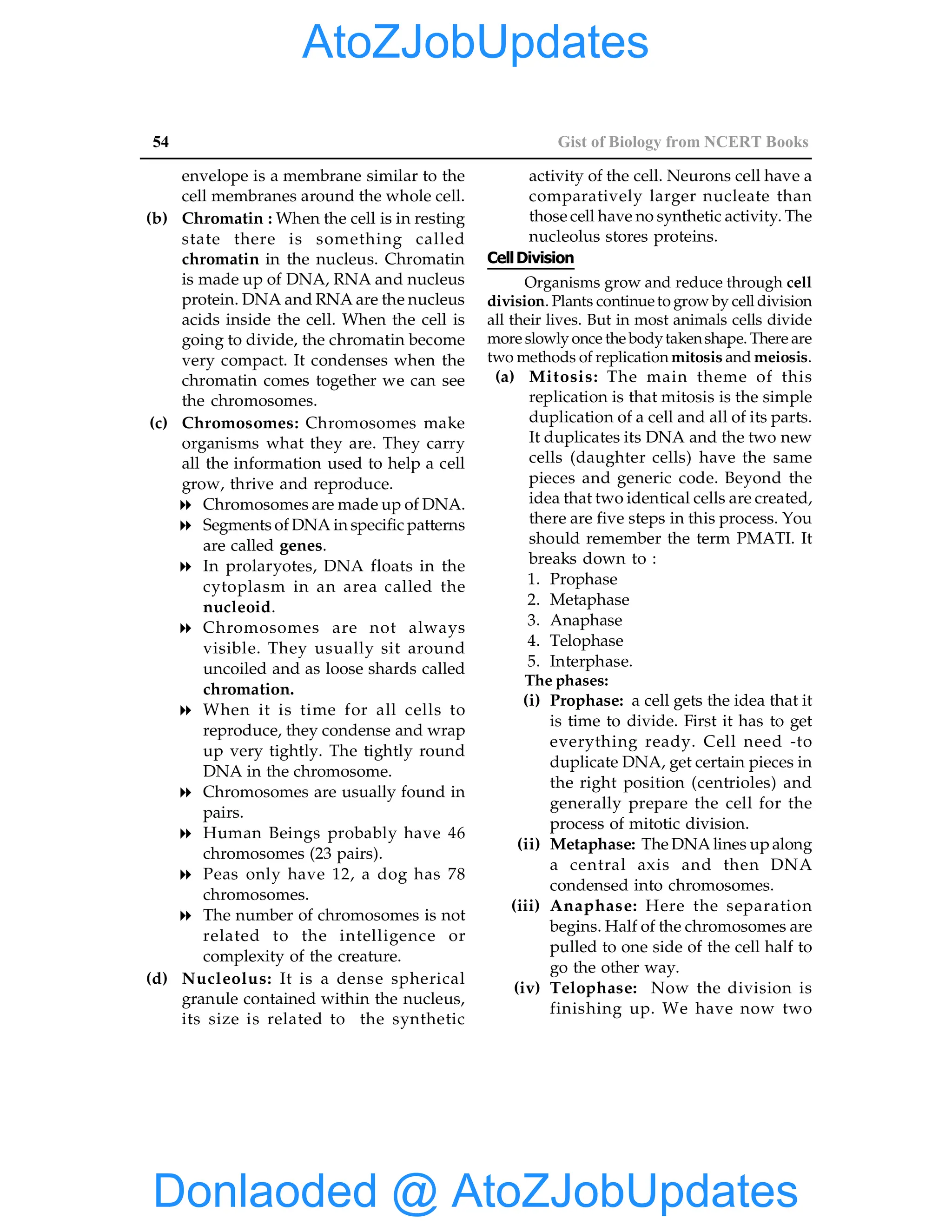 54 Gist of Biology from NCERT Books
envelope is a membrane similar to the
cell membranes around the whole cell.
(b) Chromatin : When the cell is in resting
state there is something called
chromatin in the nucleus. Chromatin
is made up of DNA, RNA and nucleus
protein. DNA and RNA are the nucleus
acids inside the cell. When the cell is
going to divide, the chromatin become
very compact. It condenses when the
chromatin comes together we can see
the chromosomes.
(c) Chromosomes: Chromosomes make
organisms what they are. They carry
all the information used to help a cell
grow, thrive and reproduce.
8 Chromosomes are made up of DNA.
8 Segments of DNA in specific patterns
are called genes.
8 In prolaryotes, DNA floats in the
cytoplasm in an area called the
nucleoid.
8 Chromosomes are not always
visible. They usually sit around
uncoiled and as loose shards called
chromation.
8 When it is time for all cells to
reproduce, they condense and wrap
up very tightly. The tightly round
DNA in the chromosome.
8 Chromosomes are usually found in
pairs.
8 Human Beings probably have 46
chromosomes (23 pairs).
8 Peas only have 12, a dog has 78
chromosomes.
8 The number of chromosomes is not
related to the intelligence or
complexity of the creature.
(d) Nucleolus: It is a dense spherical
granule contained within the nucleus,
its size is related to the synthetic
activity of the cell. Neurons cell have a
comparatively larger nucleate than
those cell have no synthetic activity. The
nucleolus stores proteins.
CellDivision
Organisms grow and reduce through cell
division. Plants continueto grow by cell division
all their lives. But in most animals cells divide
more slowly once the bodytakenshape. There are
two methods of replication mitosis and meiosis.
(a) Mitosis: The main theme of this
replication is that mitosis is the simple
duplication of a cell and all of its parts.
It duplicates its DNA and the two new
cells (daughter cells) have the same
pieces and generic code. Beyond the
idea that two identical cells are created,
there are five steps in this process. You
should remember the term PMATI. It
breaks down to :
1. Prophase
2. Metaphase
3. Anaphase
4. Telophase
5. Interphase.
The phases:
(i) Prophase: a cell gets the idea that it
is time to divide. First it has to get
everything ready. Cell need -to
duplicate DNA, get certain pieces in
the right position (centrioles) and
generally prepare the cell for the
process of mitotic division.
(ii) Metaphase: The DNA lines upalong
a central axis and then DNA
condensed into chromosomes.
(iii) Anaphase: Here the separation
begins. Half of the chromosomes are
pulled to one side of the cell half to
go the other way.
(iv) Telophase: Now the division is
finishing up. We have now two
Donlaoded @ AtoZJobUpdates
AtoZJobUpdates
 