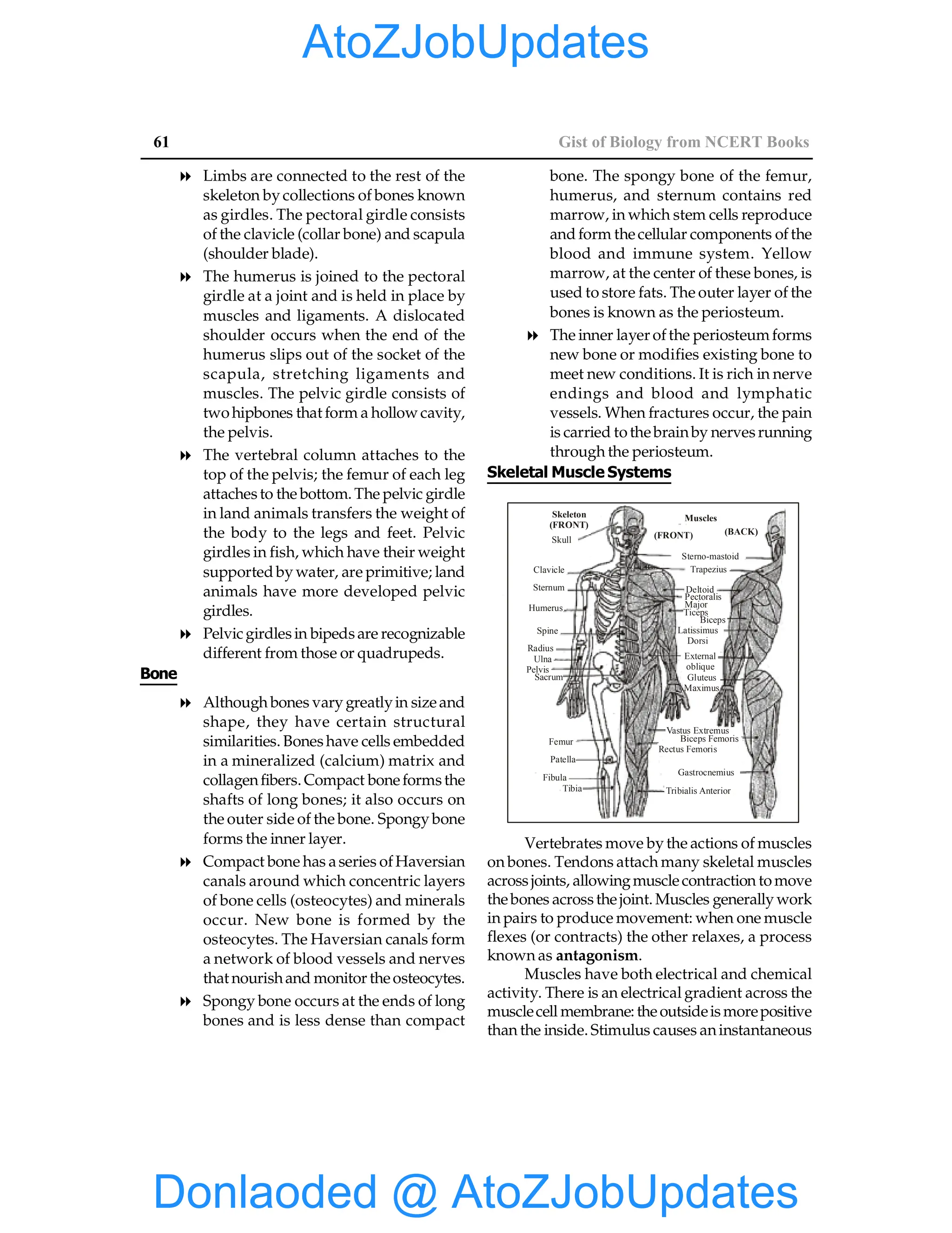 EPFO study material NCERT Gist for upsc.pdf