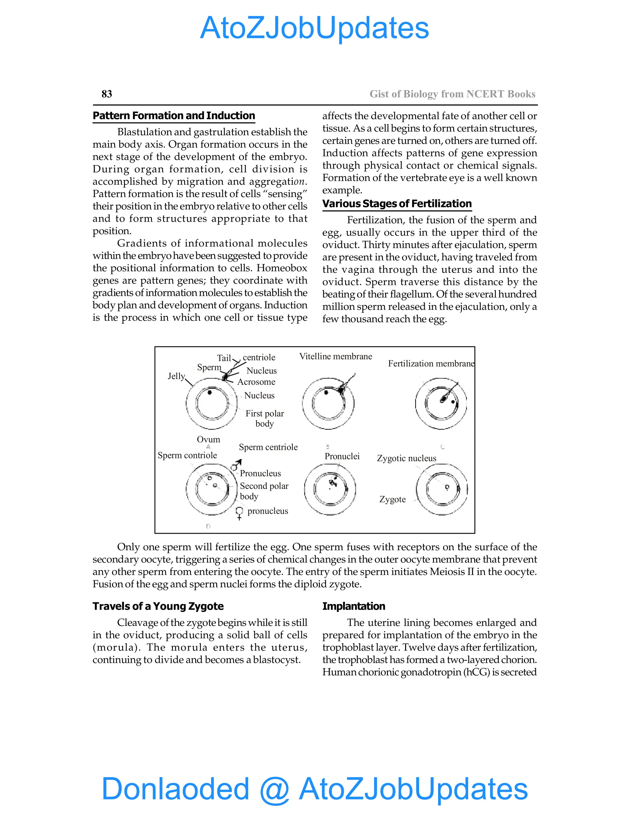 EPFO study material NCERT Gist for upsc.pdf