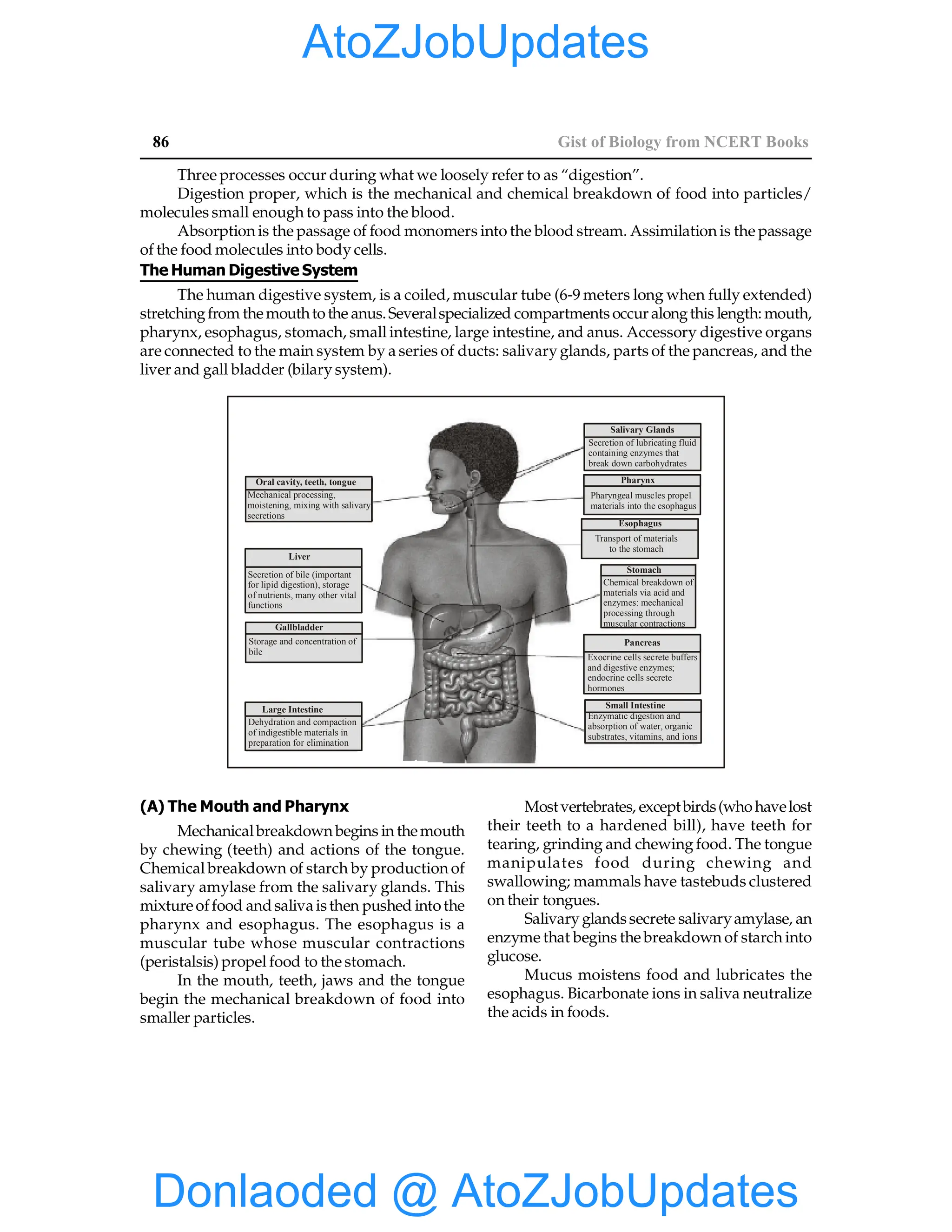 EPFO study material NCERT Gist for upsc.pdf