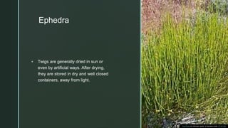 z
Ephedra
 Twigs are generally dried in sun or
even by artificial ways. After drying,
they are stored in dry and well closed
containers, away from light.
This Photo by Unknown author is licensed under CC BY-SA.
 