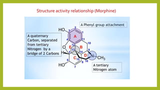 Structure activity relationship (Morphine)
 
