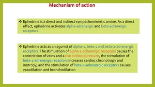 Mechanism of action
 Ephedrine is a direct and indirect sympathomimetic amine. As a direct
effect, ephedrine activates alpha-adrenergic and beta-adrenergic
receptors.
 Ephedrine acts as an agonist of alpha-1, beta-1 and beta-2-adrenergic
receptors.The stimulation of alpha-1-adrenergic receptors causes the
constriction of veins and a rise in blood pressure, the stimulation of
beta-1-adrenergic receptors increases cardiac chronotropy and
inotropy, and the stimulation of beta-2-adrenergic receptors causes
vasodilation and bronchodilation.
 