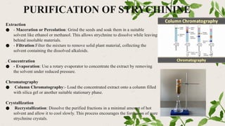 PURIFICATION OF STRYCHININE
Extraction
● - Maceration or Percolation: Grind the seeds and soak them in a suitable
solvent like ethanol or methanol. This allows strychnine to dissolve while leaving
behind insoluble materials.
● - Filtration:Filter the mixture to remove solid plant material, collecting the
solvent containing the dissolved alkaloids.
. Concentration
● - Evaporation: Use a rotary evaporator to concentrate the extract by removing
the solvent under reduced pressure.
Chromatography
● Column Chromatography:- Load the concentrated extract onto a column filled
with silica gel or another suitable stationary phase.
Crystallization
● Recrystallization: Dissolve the purified fractions in a minimal amount of hot
solvent and allow it to cool slowly. This process encourages the formation of pure
strychnine crystals.
 