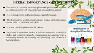 HERBAL IMPORTANCE OF STRYCHININE
● Strychinine is extremely interesting pharmacologically and is regarded
as a valuable tool in both physiologic and neuroanatomic research.
● It is extremely toxic, and functioning as a central stimulant..
● The drug is rarely used in modern medical practice but is utilized as a
vermin killer i.e., animal or insect killer.
● It is used chiefly in poison baits for rodents.
● Strychnine is sometimes used as a reference compound in analytical
studies and toxicology research. Understanding its properties helps in
developing methods for detecting and quantifying other alkaloids in
herbal products.
 