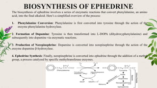 BIOSYNTHESIS OF EPHEDRINE
The biosynthesis of ephedrine involves a series of enzymatic reactions that convert phenylalanine, an amino
acid, into the final alkaloid. Here’s a simplified overview of the process:
1. Phenylalanine Conversion: Phenylalanine is first converted into tyrosine through the action of the
enzyme phenylalanine hydroxylase.
2. Formation of Dopamine: Tyrosine is then transformed into L-DOPA (dihydroxyphenylalanine) and
subsequently into dopamine via enzymatic reactions.
3. Production of Norepinephrine: Dopamine is converted into norepinephrine through the action of the
enzyme dopamine β-hydroxylase.
4. Ephedrine Synthesis: Finally, norepinephrine is converted into ephedrine through the addition of a methyl
group, a process catalyzed by specific methyltransferase enzymes.
 