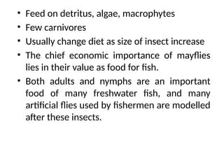 • Feed on detritus, algae, macrophytes
• Few carnivores
• Usually change diet as size of insect increase
• The chief economic importance of mayflies
lies in their value as food for fish.
• Both adults and nymphs are an important
food of many freshwater fish, and many
artificial flies used by fishermen are modelled
after these insects.
 