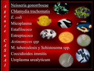 NeisseriagonorrboeaeCblamydiatrachomatisE. coliMicoplasmaEstafilococoEstreptococoActinomycessppM. tuberculosis y Schistosomaspp.CoccidioidesimmitisUreplasmaurealyticumA   g   e   n    t    e    C  A   S   u   A     l