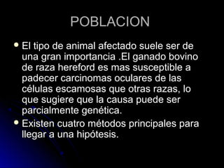POBLACION
 El tipo de animal afectado suele ser de
  una gran importancia .El ganado bovino
  de raza hereford es mas susceptible a
  padecer carcinomas oculares de las
  células escamosas que otras razas, lo
  que sugiere que la causa puede ser
  parcialmente genética.
 Existen cuatro métodos principales para
  llegar a una hipótesis.
 