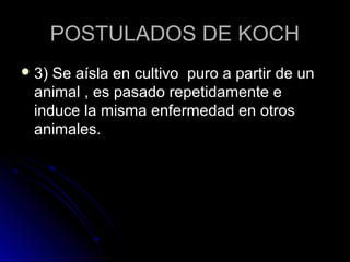 POSTULADOS DE KOCH
 3)Se aísla en cultivo puro a partir de un
 animal , es pasado repetidamente e
 induce la misma enfermedad en otros
 animales.
 
