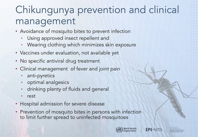chikungunya outbreak and prevention disease | PDF