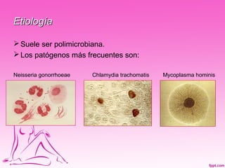Etiología

 Suele ser polimicrobiana.
 Los patógenos más frecuentes son:

Neisseria gonorrhoeae   Chlamydia trachomatis   Mycoplasma hominis
 