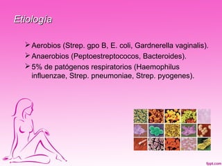Etiología

   Aerobios (Strep. gpo B, E. coli, Gardnerella vaginalis).
   Anaerobios (Peptoestreptococos, Bacteroides).
   5% de patógenos respiratorios (Haemophilus
    influenzae, Strep. pneumoniae, Strep. pyogenes).
 