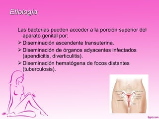 Etiología

  Las bacterias pueden acceder a la porción superior del
    aparato genital por:
   Diseminación ascendente transuterina.
   Diseminación de órganos adyacentes infectados
    (apendicitis, diverticulitis).
   Diseminación hematógena de focos distantes
    (tuberculosis).
 
