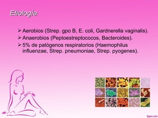 Etiología

   Aerobios (Strep. gpo B, E. coli, Gardnerella vaginalis).
   Anaerobios (Peptoestreptococos, Bacteroides).
   5% de patógenos respiratorios (Haemophilus
    influenzae, Strep. pneumoniae, Strep. pyogenes).
 