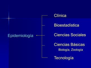 Clínica
Bioestadística
Ciencias Sociales
Ciencias Básicas
Biología, Zoología
Tecnología
Epidemiología
 