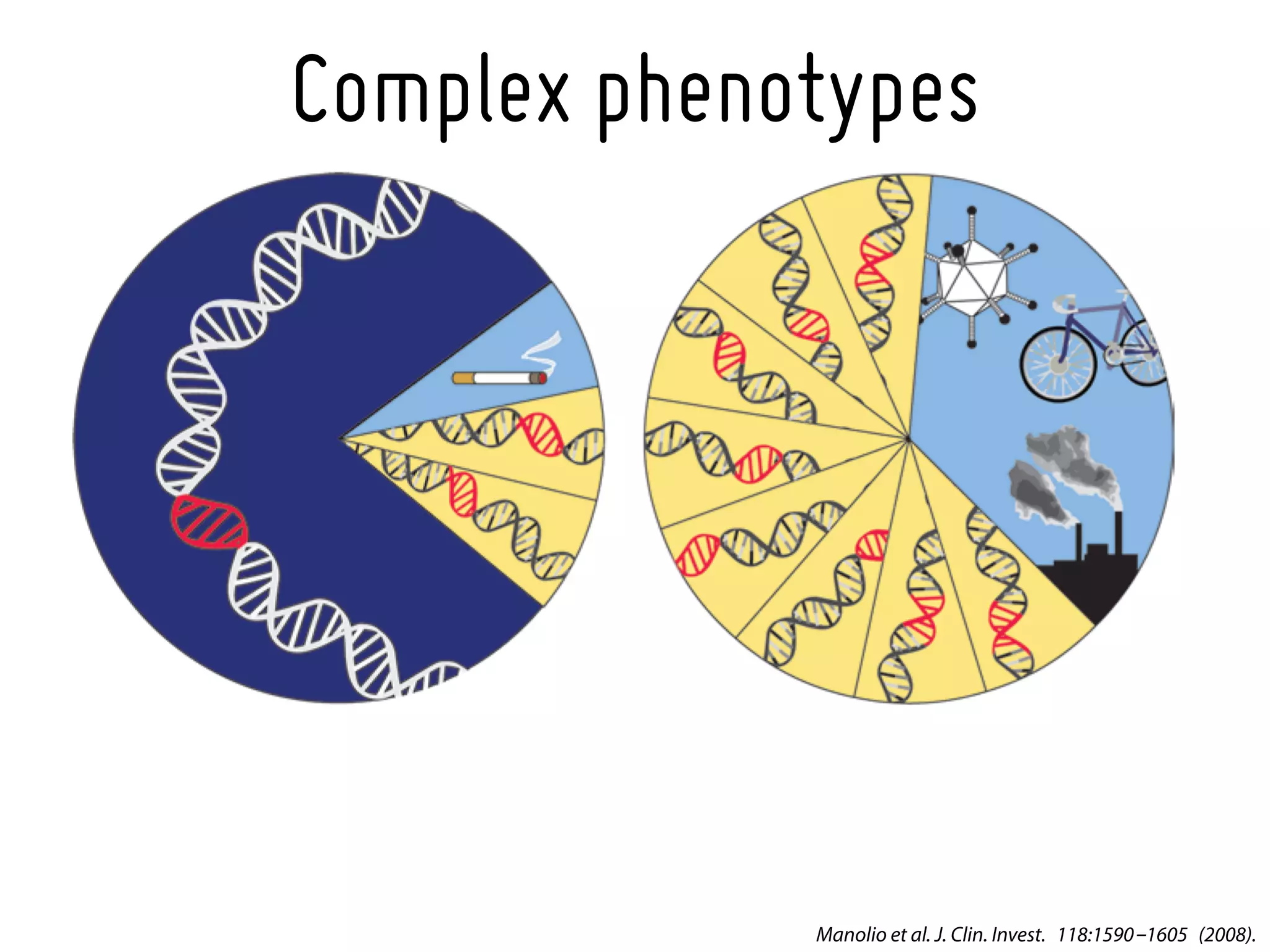 Complex phenotypes




             Manolio et al. J. Clin. Invest. 118:1590-1605 (2008).
 