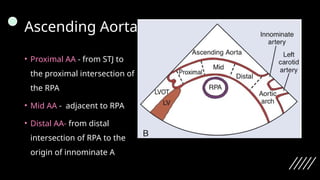 Aortic atherosclerosis and epiaortic scanning | PPTX