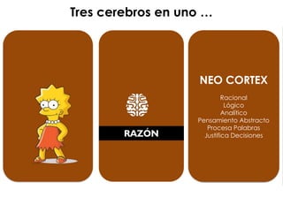 @agpmarketing
NEO CORTEX
Cerebro Racional
Lógico
Analítico
Pensamiento Abstracto
Justifica las decisiones
Predomina en Hombres
RAZÓN
Teoría del Cerebro TRIUNO de Paul McLean - 1952
Tres cerebros en uno …
NEO CORTEX
Racional
Lógico
Analítico
Pensamiento Abstracto
Procesa Palabras
Justifica Decisiones
 