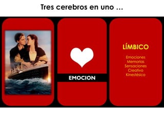 @agpmarketing
LÍMBICO
Emociones (+)
Creativo
Sensible
Miedo (Amígdala)
Predomina en Mujeres
EMOCION
Teoría del Cerebro TRIUNO de Paul McLean - 1952
Tres cerebros en uno …
LÍMBICO
Emociones
Memorias
Sensaciones
Creativo
Kinestésico
 