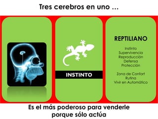 @agpmarketing
REPTILIANO
Instintivo
Agresivo
Dominación, IRA, Envidia
Está para ayudarte a Sobrevivir,
y no Para que tengas éxito
Las personas se fijan más en
cosas negativas
Zona de Comfort / Rutina –
Vivir en Automático -
PROCASTINAR
INSTINTO
Teoría del Cerebro TRIUNO de Paul McLean - 1952
Tres cerebros en uno …
REPTILIANO
Instinto
Supervivencia
Reproducción
Defensa
Protección
Zona de Confort
Rutina
Vivir en Automático
Es el más poderoso para venderle
porque sólo actúa
 