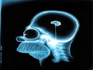 EPICENTRO: Apresentação Gabriel Peixoto