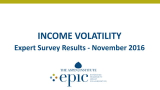 INCOME VOLATILITY
Expert Survey Results - November 2016
 