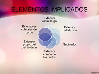 ELEMENTOS IMPLICADOS
 
