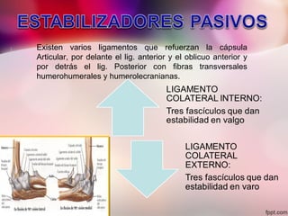 Existen varios ligamentos que refuerzan la cápsula
Articular, por delante el lig. anterior y el oblicuo anterior y
por detrás el lig. Posterior con fibras transversales
humerohumerales y humerolecranianas.
 