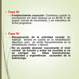 • Fase III:
– Fortalecimiento muscular: Comienza cuando la
movilización sin dolor alcanza ya un 80-85 % del
ángulo normal ...