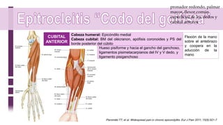 CUBITAL
ANTERIOR
Cabeza humeral: Epicóndilo medial
Cabeza cubital: BM del olécranon, apófisis coronoides y PS del
borde posterior del cúbito
Hueso pisiforme y hacia el gancho del ganchoso,
ligamentos pisimetacarpianos del IV y V dedo, y
ligamento pisiganchoso
Flexión de la mano
sobre el antebrazo
y coopera en la
aducción de la
mano
pronador redondo, palmar
mayor, flexor común
superficial de los dedos y
cubital anterior
Pienimäki TT, et al. Widespread pain in chronic epicondylitis. Eur J Pain 2011; 15(9):921-7
 