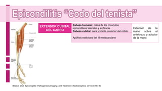 EXTENSOR CUBITAL
DEL CARPO
Cabeza humeral: masa de los músculos
epicondíleos laterales y su fascia
Cabeza cubital: cara y borde posterior del cúbito
Apófisis estiloides del III metacarpiano
Extensor de la
mano sobre el
antebrazo y aductor
de la mano
Walz D, et al. Epicondylitis: Pathogenesis,Imaging, and Treatment. RadioGraphics. 2010;30:167-84
 