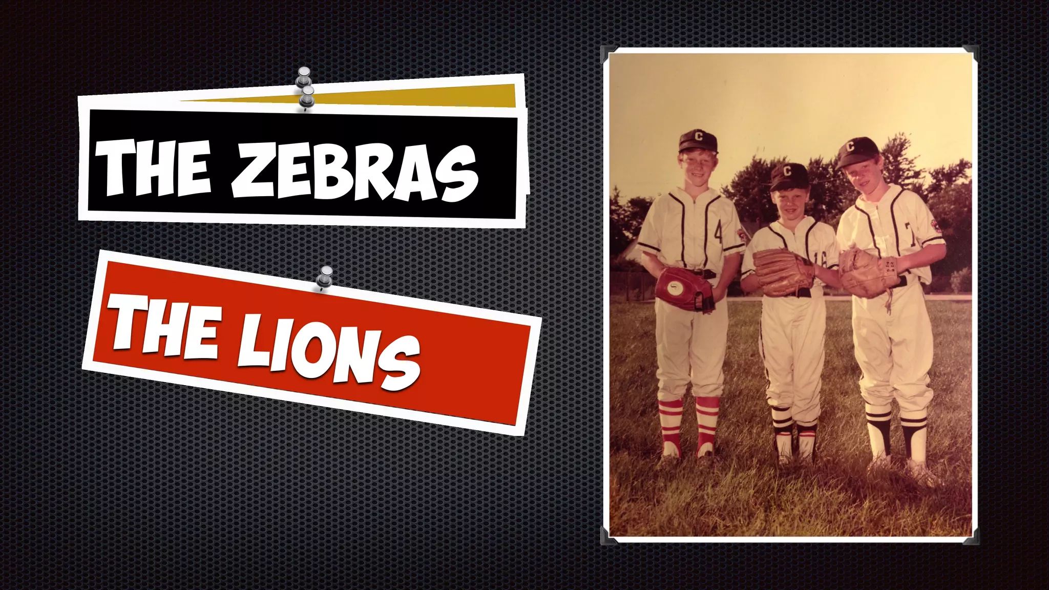 The Comets
The Lions
The Zebras
 